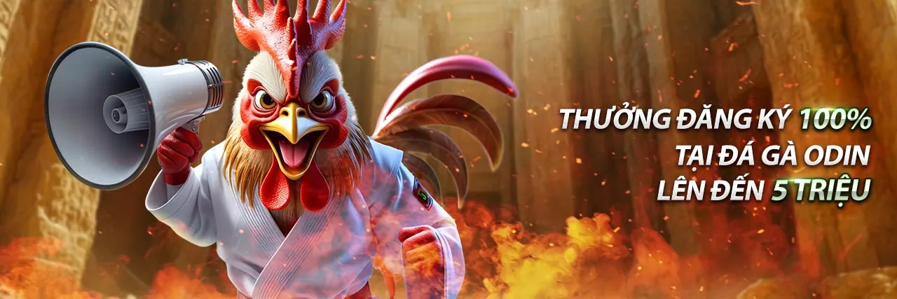 Tải ứng dụng Win55 – Khuyến mãi Win55 2026