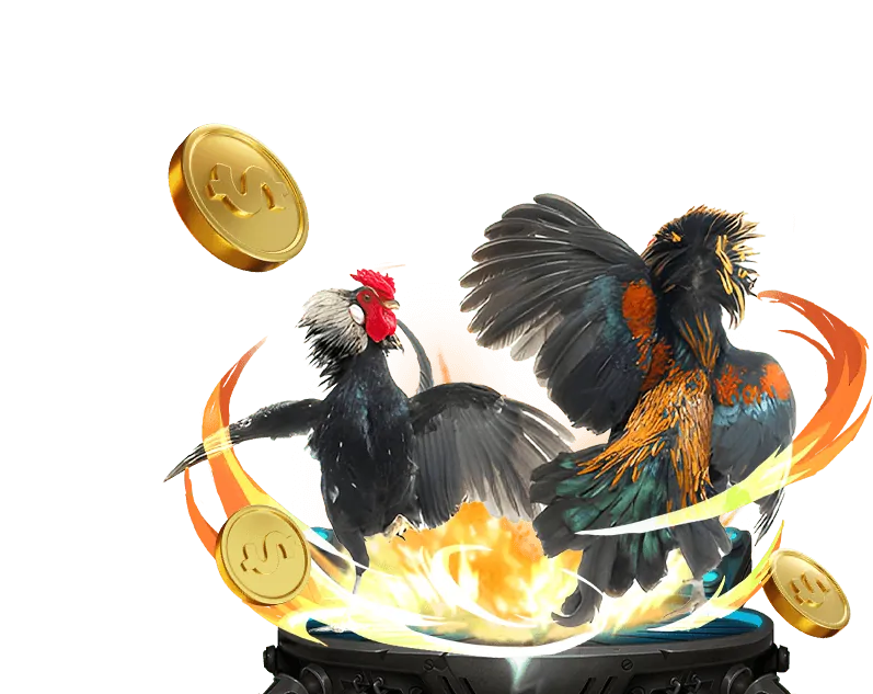 Hoàn trả Win55 hàng ngày